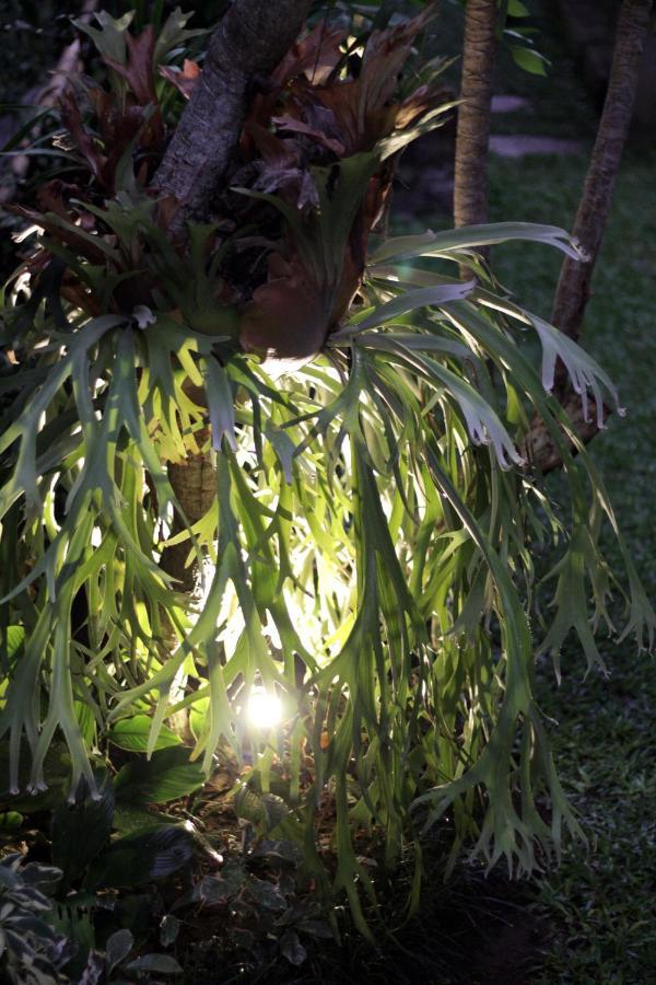 Sari House Ubud - Balinese Style Homestay Exterior photo